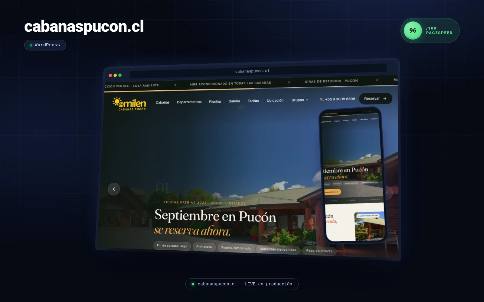 cabanaspucon.cl