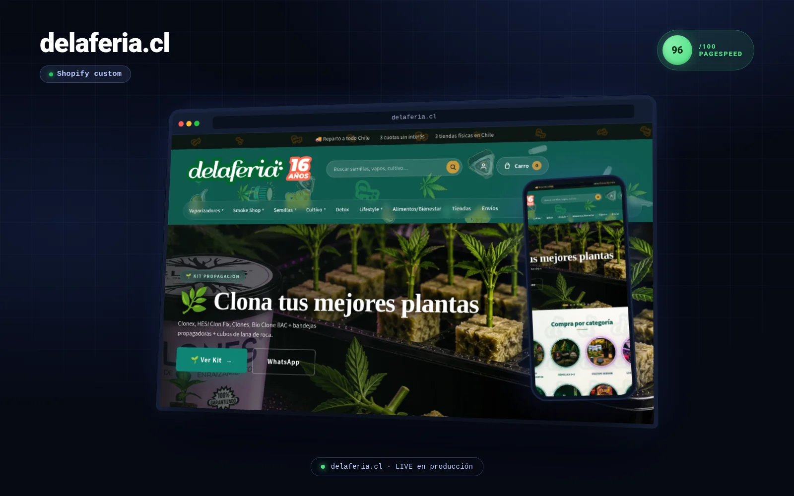 delaferia.cl